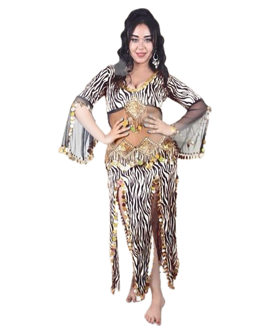 Sexy oriental belly dance dress, handmade embellished belly dance skirt and top