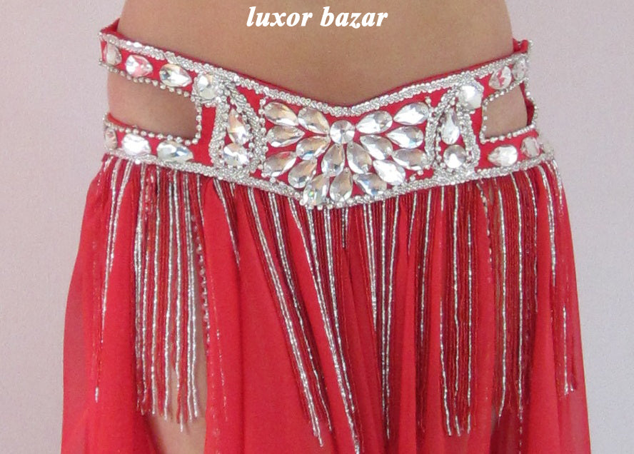 Professional Belly Dance Costume From Egypt BELLYDANCE Custom-made Any Colour New