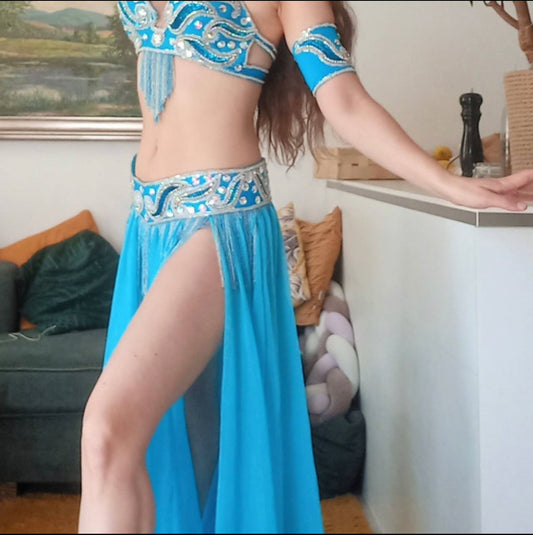 Professional Egyptian belly dance costume, custom-made belly dance outfit, handmade stitched women dancing ensemble, Sexy dancing outfit.