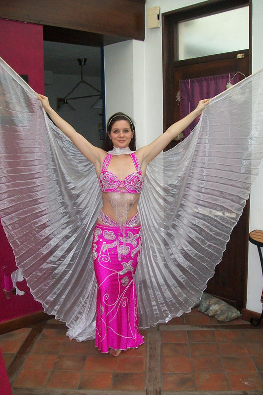 Professional Belly Dance Costume from Egypt, NEW Custom-Made belly dance dress, Handmade embroidery oriental outfit, any colour for any size