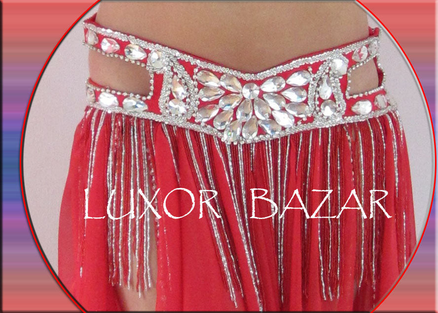 Professional Belly Dance Costume From Egypt BELLYDANCE Custom-made Any Colour New